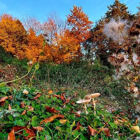 Alpinejka House Ferienhaus Tržič