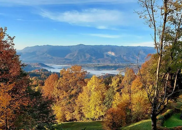 度假居 Alpinejka House *