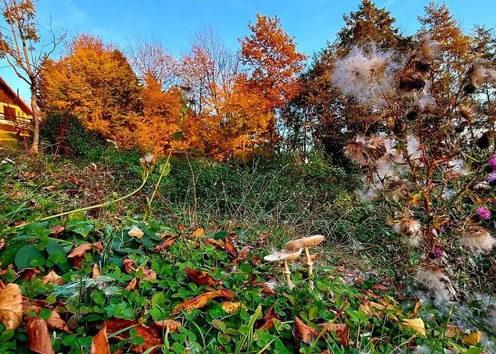 Alpinejka House Prázdninový dům Tržič